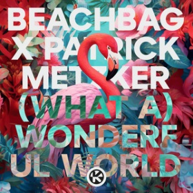 BEACHBAG X PATRICK METZKER - (WHAT A) WONDERFUL WORLD